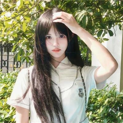 扬州八怪